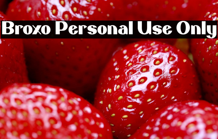 Broxo Personal Use Only Example 1