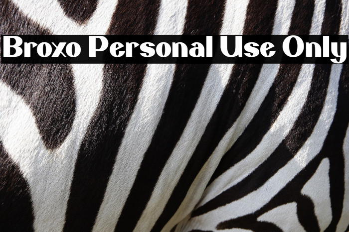 Broxo Personal Use Only Example 3