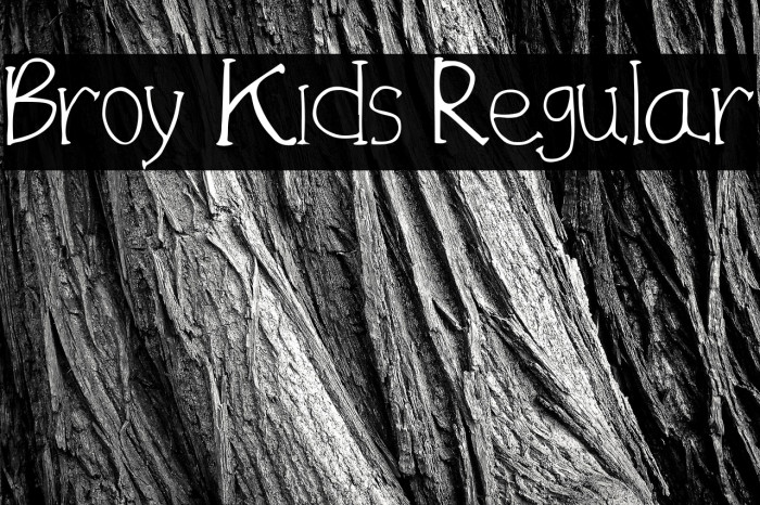 Broy Kids Regular Example 1