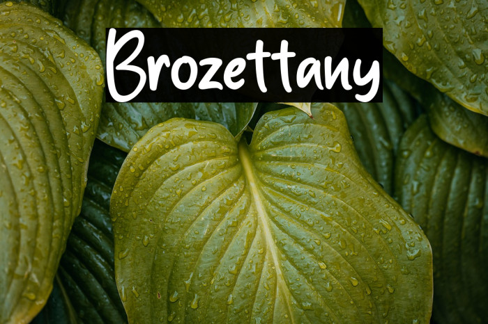 Brozettany Example 3