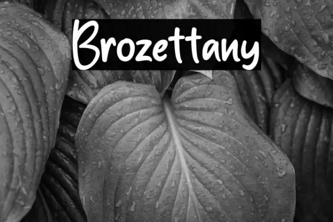 Brozettany Font examples