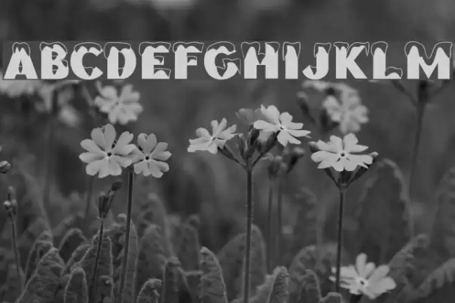 Brrrrr Regular Font examples