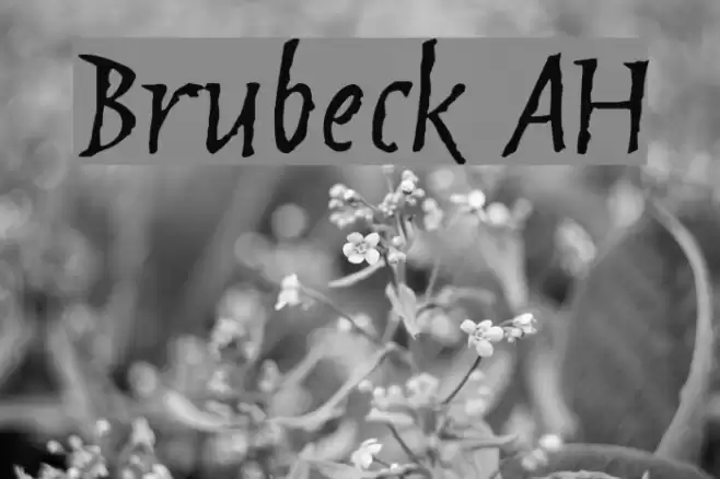 Brubeck AH Font examples