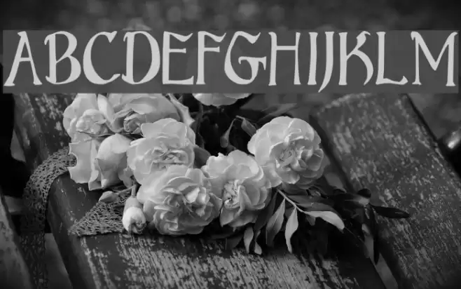 Bruce Scaled Font examples