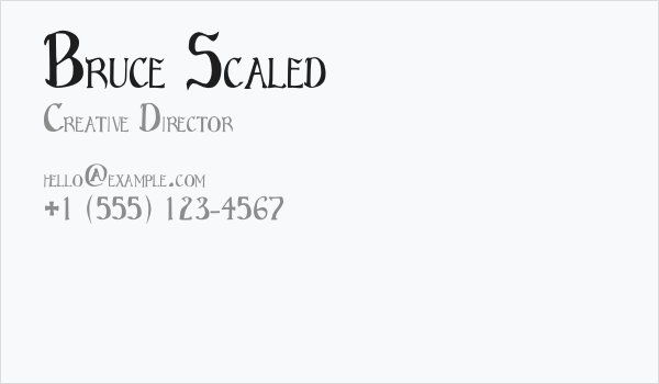 Bruce Scaled Business Card