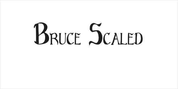 Bruce Scaled Logo