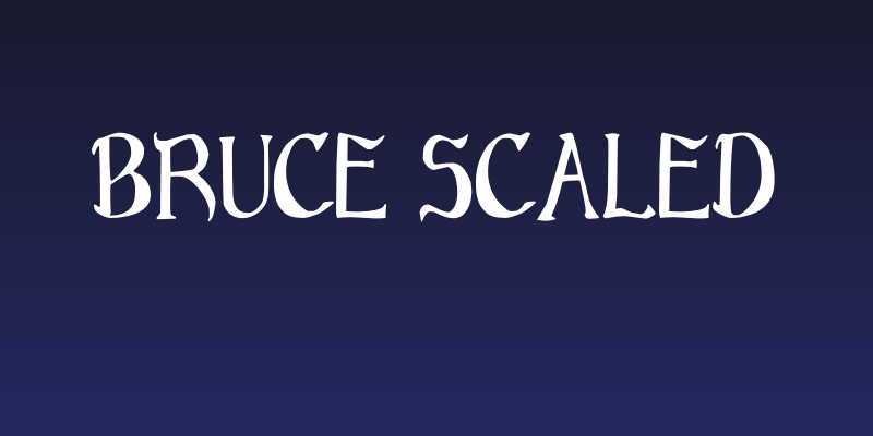 Bruce Scaled Social Header