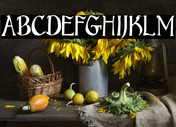 Bruce Standard Text Example 1