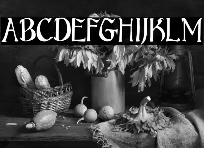 Bruce Standard Text Font examples