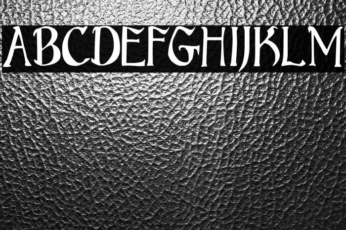 Bruce Standard Text Example 2