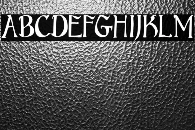 Bruce Standard Text Font examples