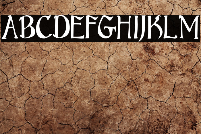 Bruce Standard Text Example 3