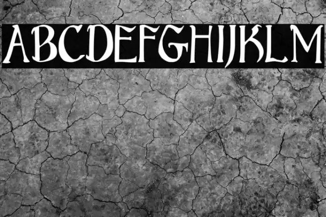 Bruce Standard Text Font examples