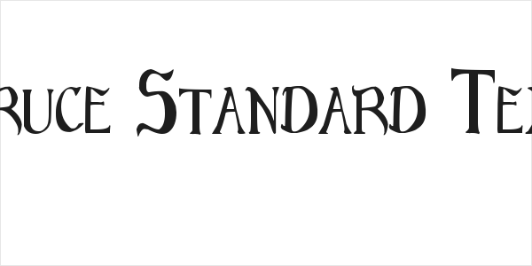 Bruce Standard Text Logo