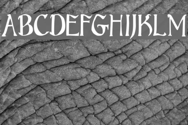 Bruce Standard Text Font examples