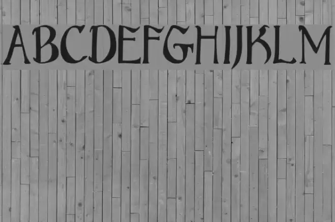 Bruce Standard Text Font examples