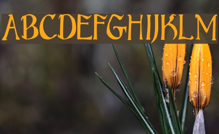 Bruce Standard Text Example 3