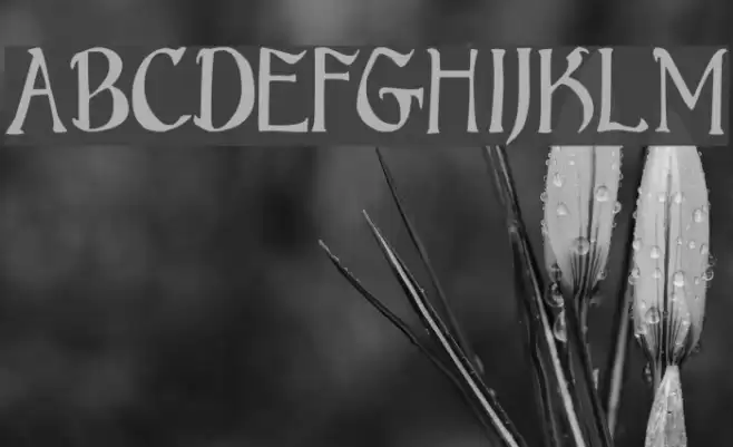 Bruce Standard Text Font examples