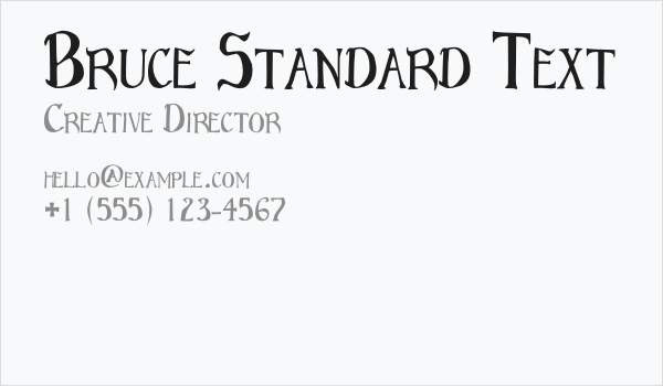 Bruce Standard Text Business Card