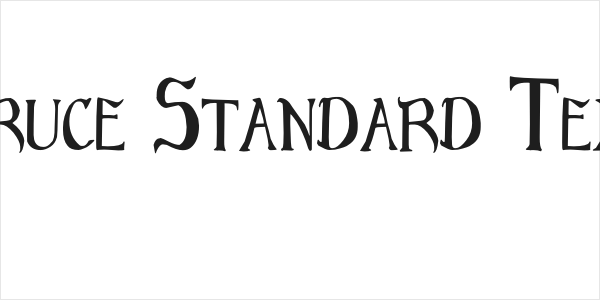 Bruce Standard Text Logo