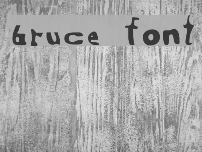 Bruce Font examples