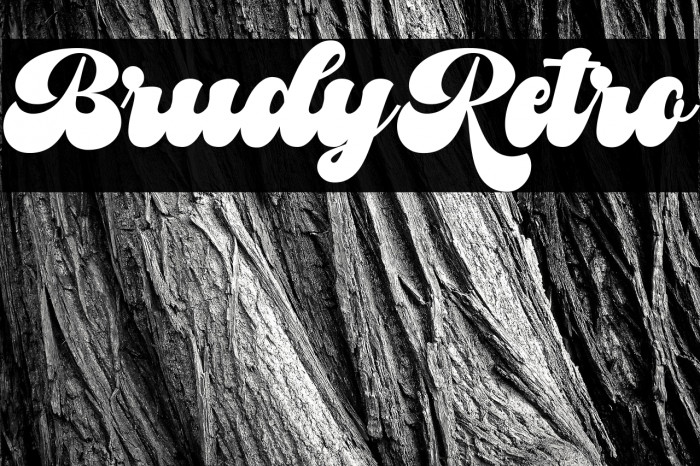 BrudyRetro Example 1