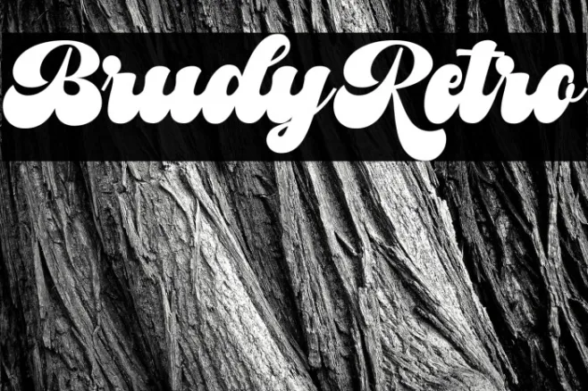 BrudyRetro Example 1