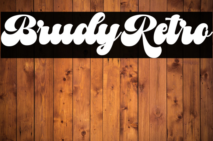 BrudyRetro Example 3