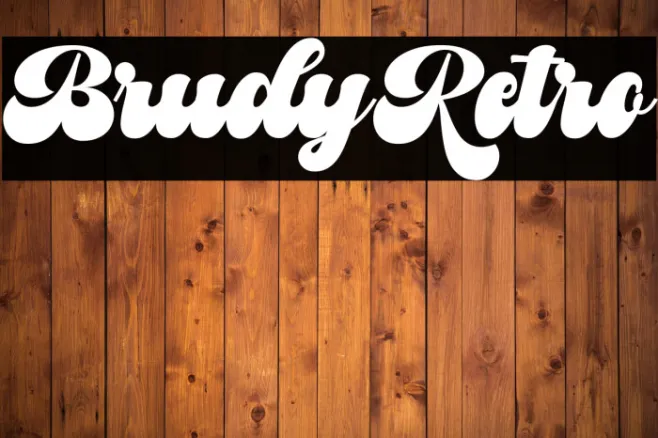 BrudyRetro Example 3