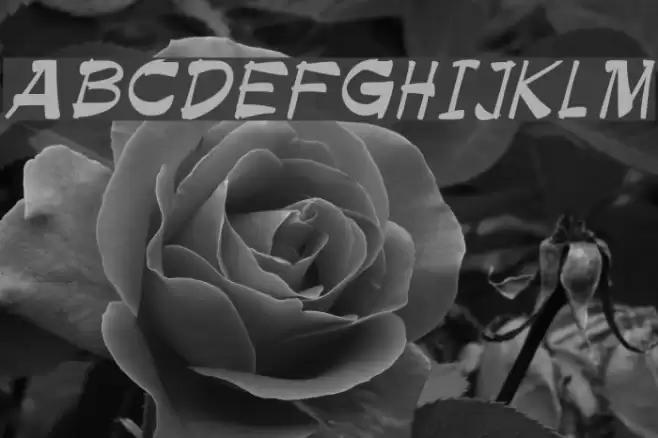 Bruesh Font examples