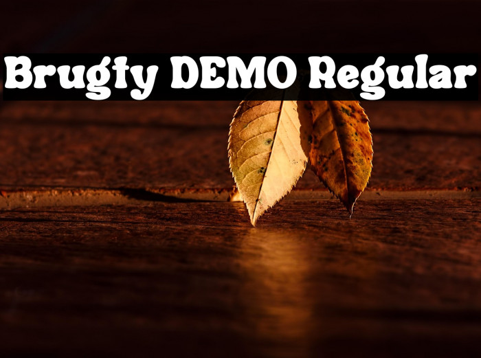 Brugty DEMO Regular Example 2