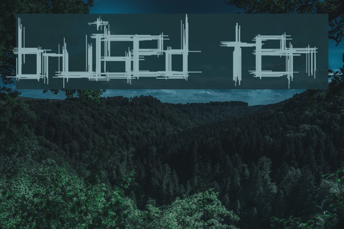 Bruised Ten Font examples