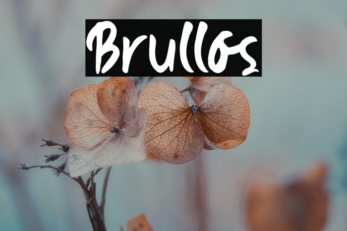 Brullos Example 2