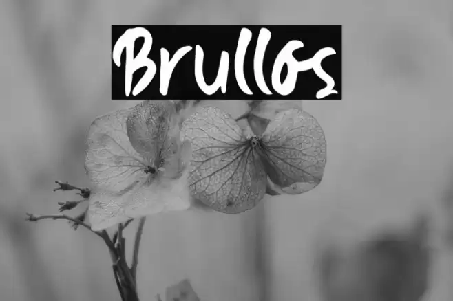 Brullos Font examples