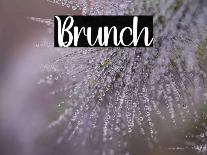 Brunch Example 2