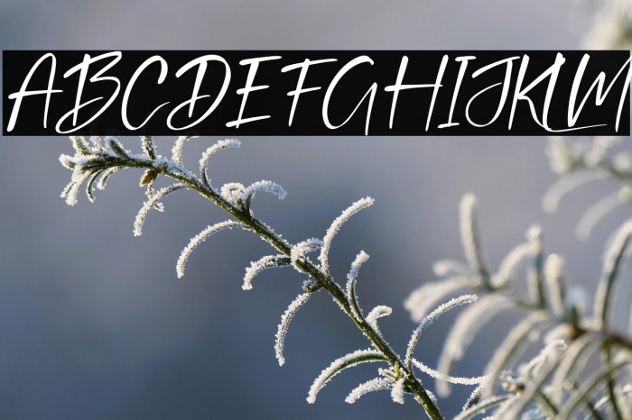 Brunella Italic Example 1