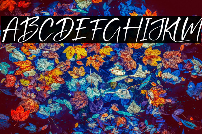 Brunella Italic Example 2