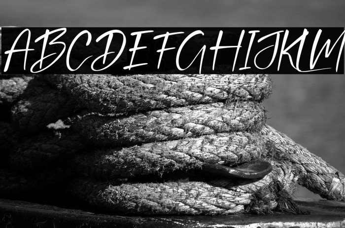 Brunella Italic Example 3