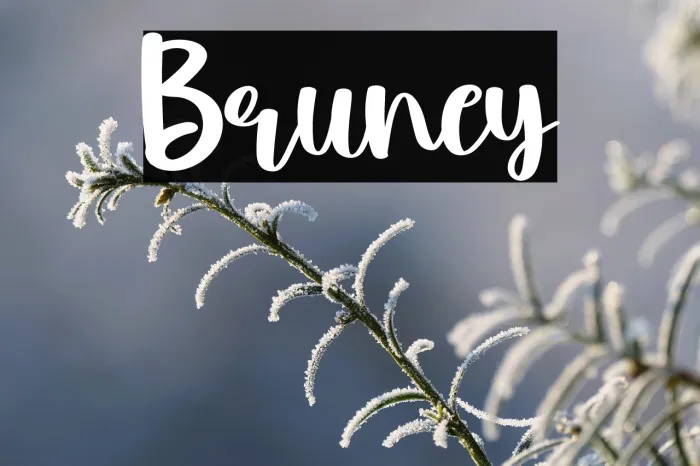 Bruney Example 1