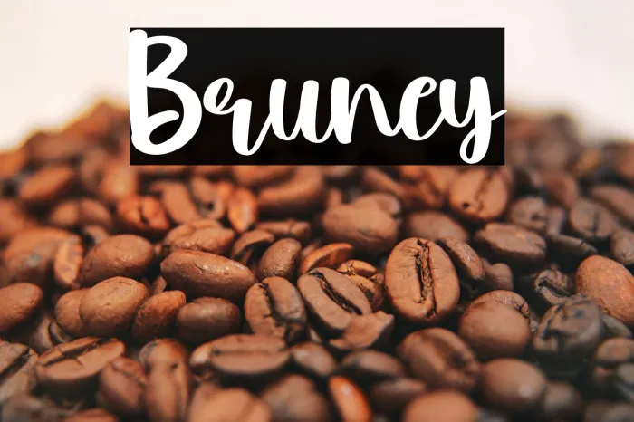 Bruney Example 3