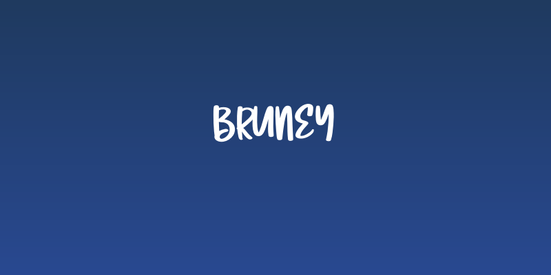 Bruney Social Header