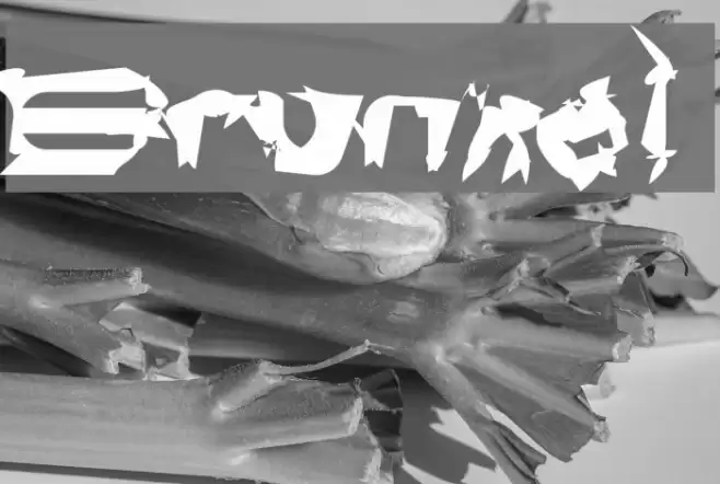 Brunkal Font examples