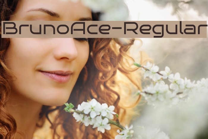 BrunoAce-Regular Example 2