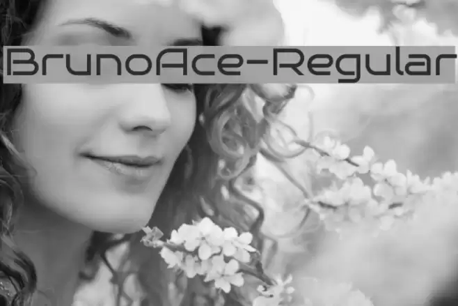 BrunoAce-Regular Font examples