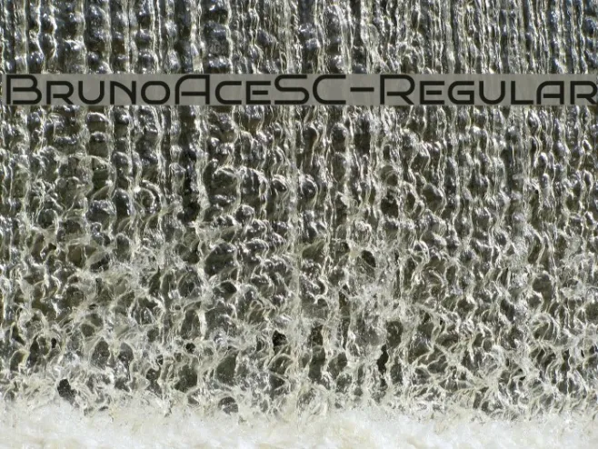 BrunoAceSC-Regular Example 2