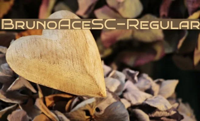 BrunoAceSC-Regular Example 3