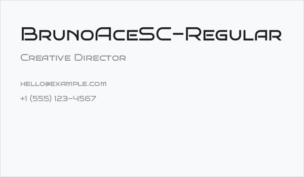 BrunoAceSC-Regular Business Card