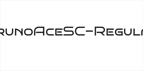 BrunoAceSC-Regular Logo