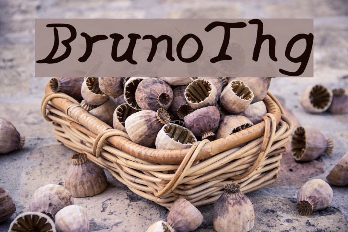 BrunoThg Font examples