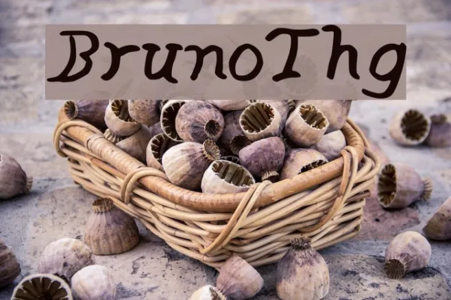 BrunoThg Example 1